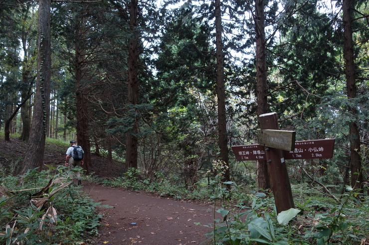 a0287336_23513496.jpg