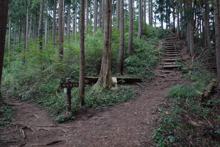 登山靴の慣らしを兼ねて、高尾山に行ってみたつもりが景信山を通り越して陣馬山を目指してる件 その5_a0287336_23525286.jpg