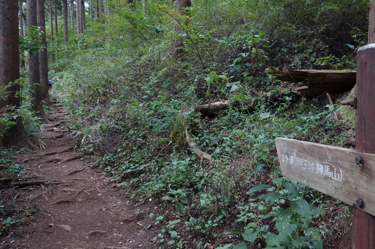 登山靴の慣らしを兼ねて、高尾山に行ってみたつもりが景信山を通り越して陣馬山を目指してる件 その5_a0287336_23535287.jpg