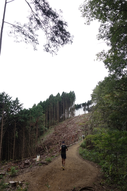 登山靴の慣らしを兼ねて、高尾山に行ってみたつもりが景信山を通り越して陣馬山を目指してる件 その5_a0287336_23541659.jpg