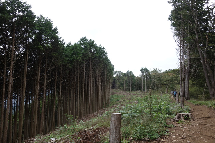 登山靴の慣らしを兼ねて、高尾山に行ってみたつもりが景信山を通り越して陣馬山を目指してる件 その5_a0287336_23545773.jpg