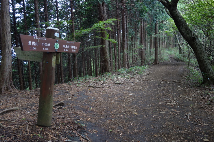 登山靴の慣らしを兼ねて、高尾山に行ってみたつもりが景信山を通り越して陣馬山を目指してる件 その5_a0287336_23552335.jpg