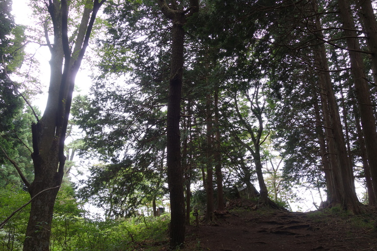 登山靴の慣らしを兼ねて、高尾山に行ってみたつもりが景信山を通り越して陣馬山を目指してる件 その5_a0287336_23564343.jpg