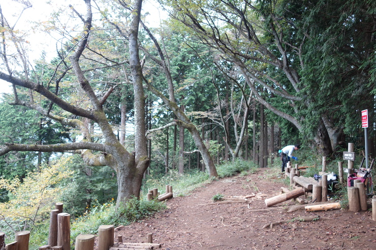 登山靴の慣らしを兼ねて、高尾山に行ってみたつもりが景信山を通り越して陣馬山を目指してる件 その5_a0287336_23594025.jpg