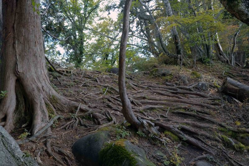 北泉ヶ岳の奥・・・今日は右へ （泉ヶ岳水神コースから桑沼展望台へ 10月15日）_d0347140_18440378.jpg