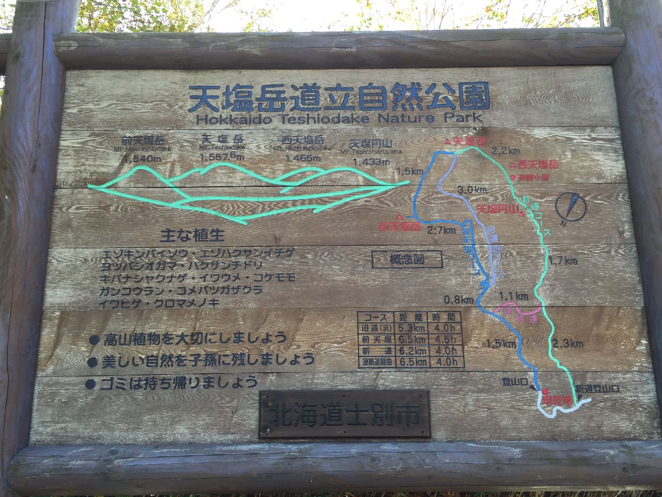 b0187142_21505363.jpg