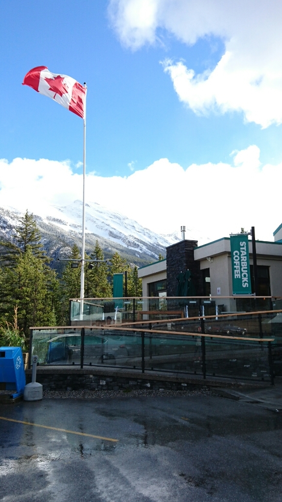 a0128147_16344568.jpg