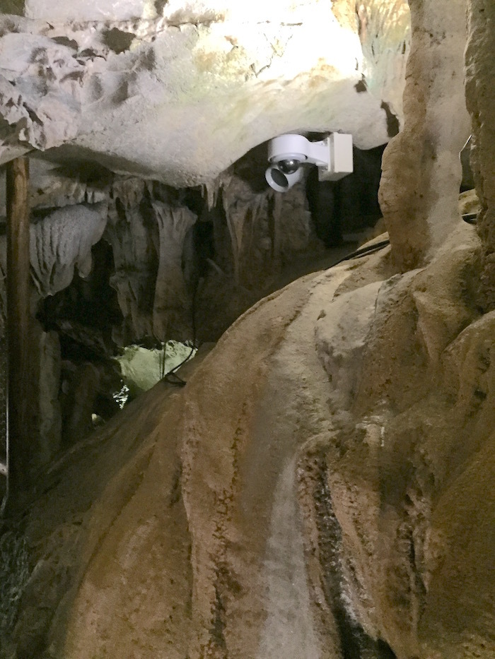 b0069156_08241779.jpg