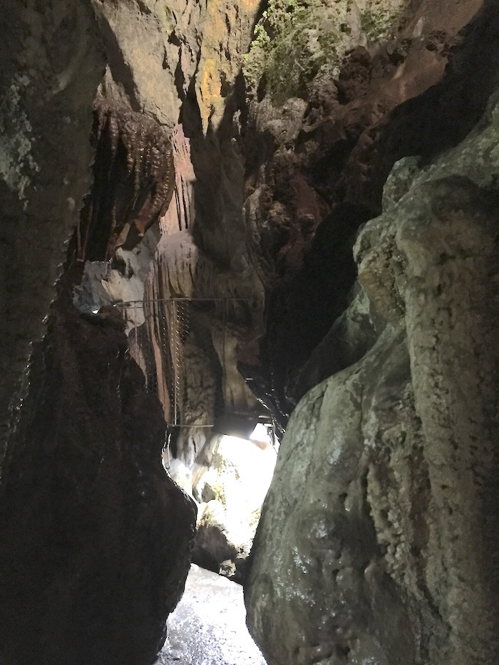 b0069156_08255493.jpg