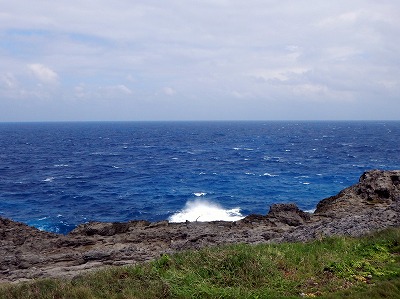 10月14日 北風が強いです_d0113459_749887.jpg