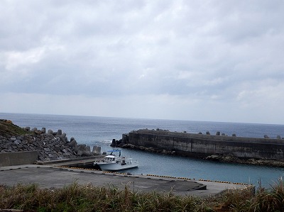 10月14日 北風が強いです_d0113459_7554297.jpg