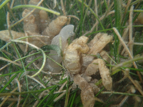 c0180460_8555420.jpg
