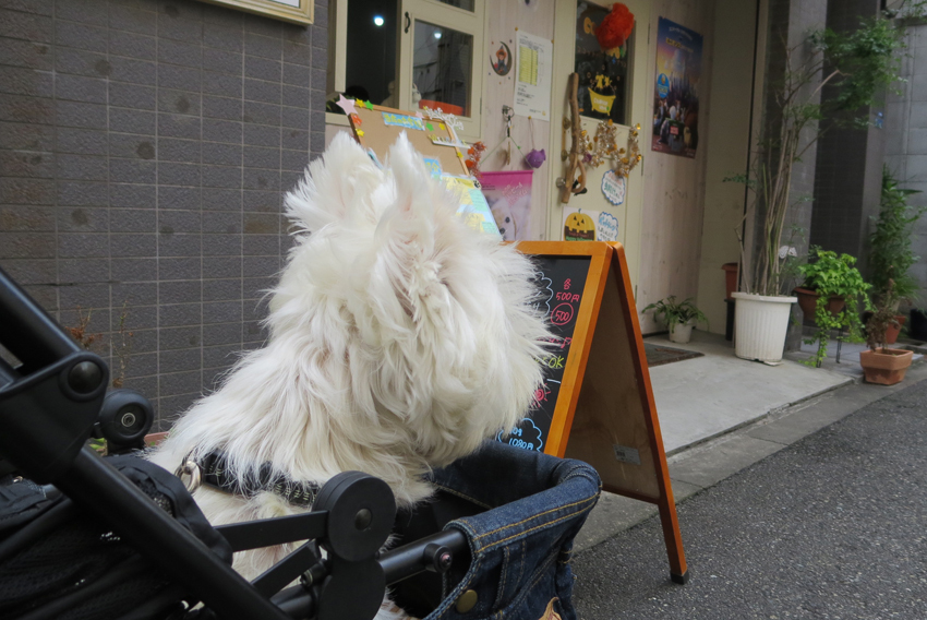 今度はトリミング_b0107163_02201870.jpg