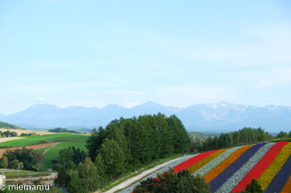 d0340565_20105677.jpg