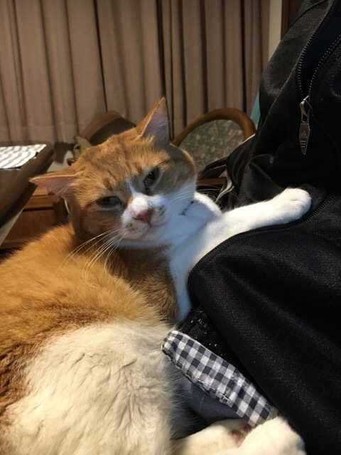 帰りは真っ暗_f0363168_07464025.jpeg