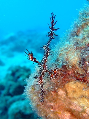b0033573_18223471.jpg