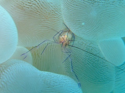 b0033573_18250881.jpg