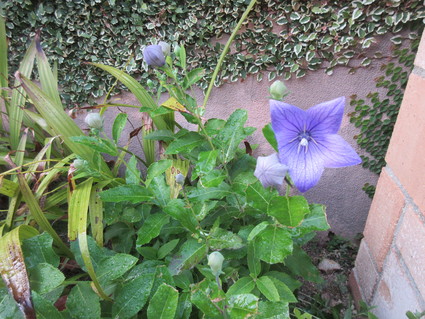 f0053885_2015686.jpg