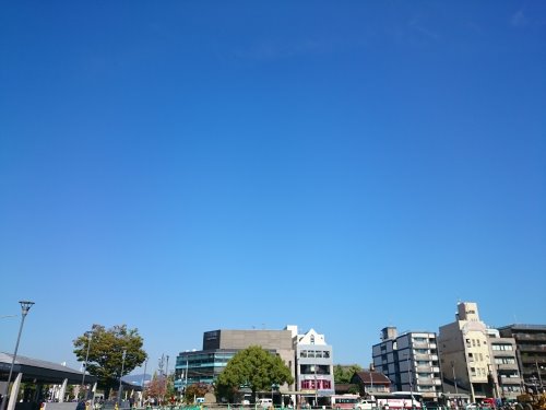 １０月１５日（土）、気持ちの好いお天気ですーー！_b0157386_1233124.jpg