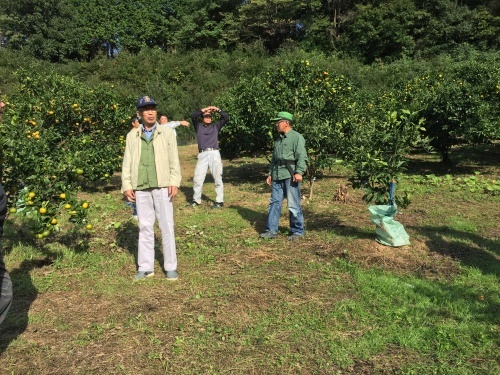 ミカン目合わせ_d0141987_20505566.jpg