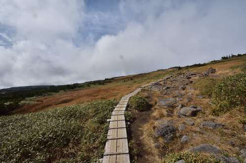 e0241691_2058176.jpg