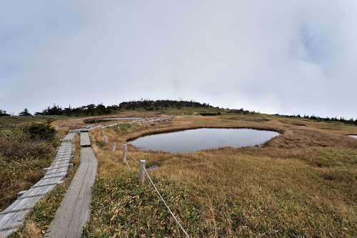 e0241691_2123867.jpg