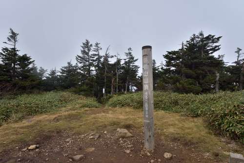e0241691_2142081.jpg