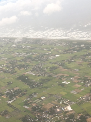 a0009196_19432675.jpg