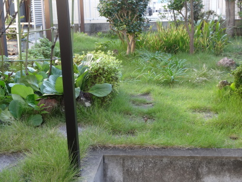 a0075800_09335195.jpg