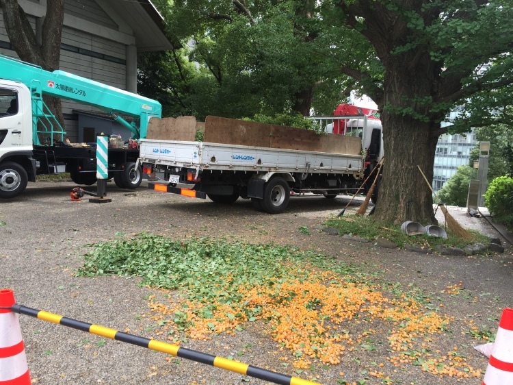 日本生命様講演、そして山王日枝神社のギンナン_d0054704_00265548.jpg