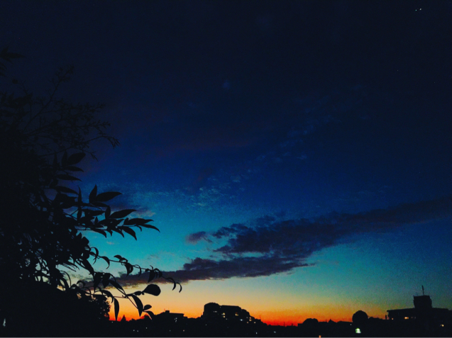 d0021510_00115934.jpg