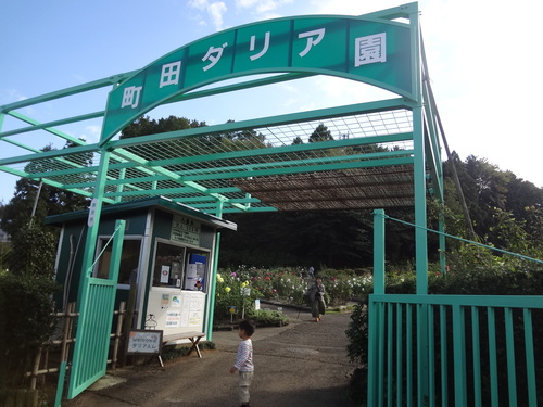 町田ダリア園_c0193512_20231998.jpg