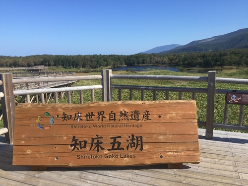 40年ぶりの北海道_c0113514_183159.jpg