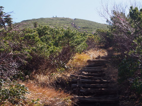 八甲田大岳～毛無岱～酸ヶ湯温泉登山（青森市）*2016.10.16_b0147224_23213728.jpg