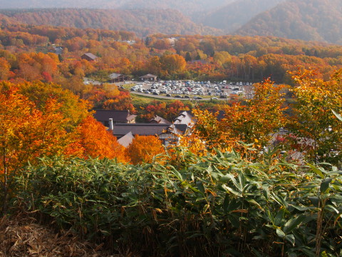 八甲田大岳~毛無岱~酸ヶ湯温泉登山(青森市)*2016.10.16_b0147224_23545784.jpg