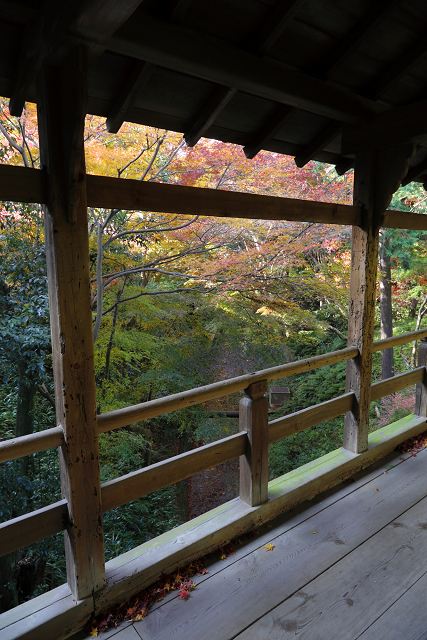 紅葉の東福寺 －龍吟庵－_b0169330_1556168.jpg