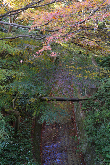 紅葉の東福寺 －龍吟庵－_b0169330_15562298.jpg