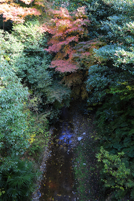 紅葉の東福寺 －龍吟庵－_b0169330_15562722.jpg