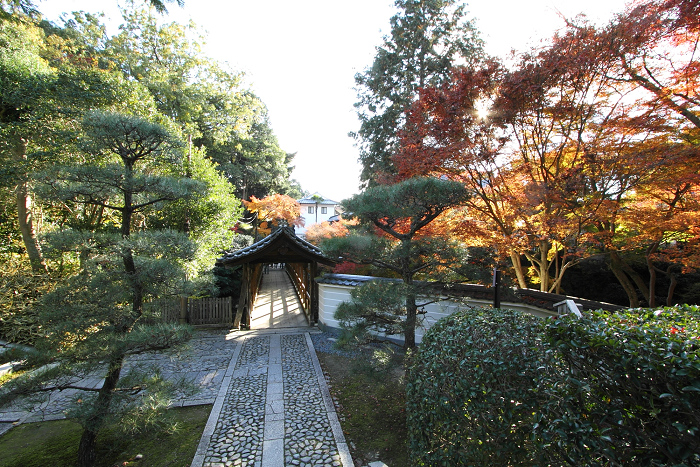 紅葉の東福寺 －龍吟庵－_b0169330_15581497.jpg