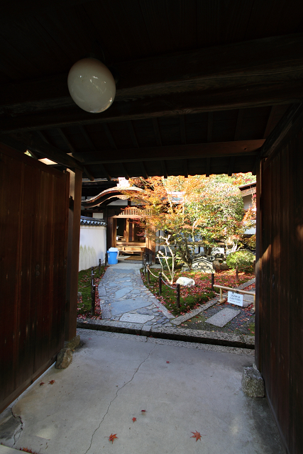 紅葉の東福寺 －龍吟庵－_b0169330_15582794.jpg