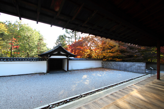 紅葉の東福寺 －龍吟庵－_b0169330_15583813.jpg