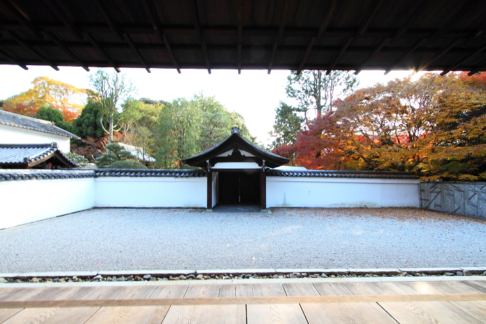 紅葉の東福寺 －龍吟庵－_b0169330_15585451.jpg