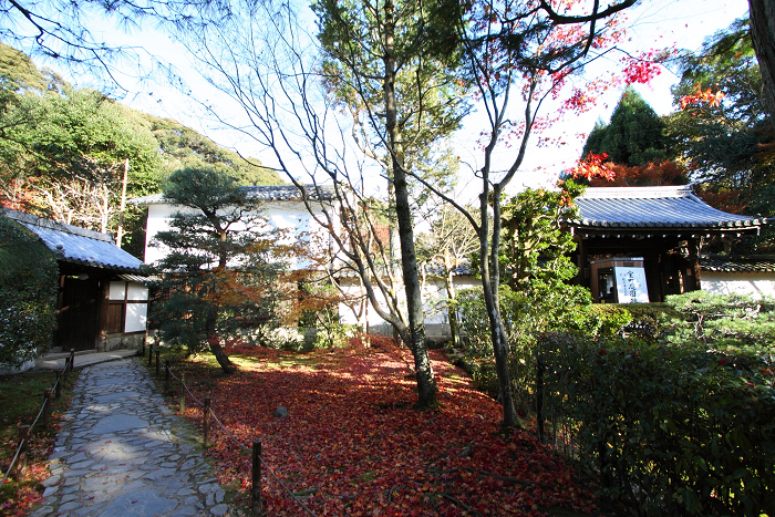 紅葉の東福寺 －龍吟庵－_b0169330_1558810.jpg
