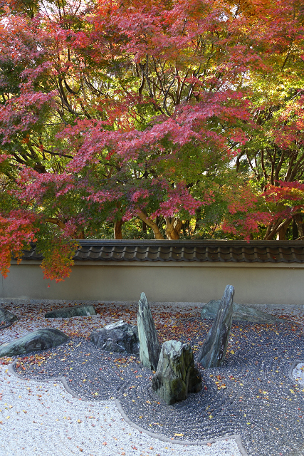 紅葉の東福寺 －龍吟庵－_b0169330_15591463.jpg