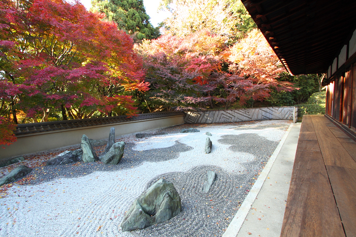 紅葉の東福寺 －龍吟庵－_b0169330_15592753.jpg