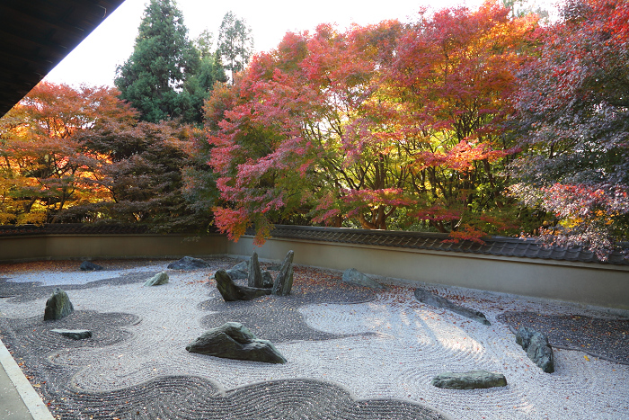 紅葉の東福寺 －龍吟庵－_b0169330_15594770.jpg