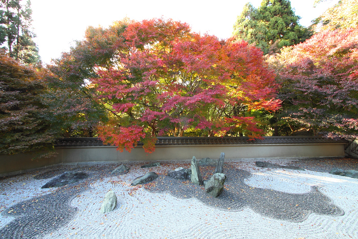 紅葉の東福寺 －龍吟庵－_b0169330_160028.jpg