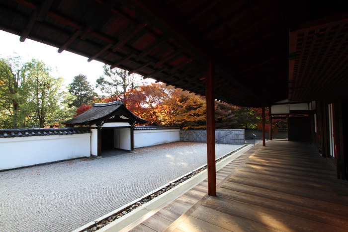 紅葉の東福寺 －龍吟庵－_b0169330_17163318.jpg