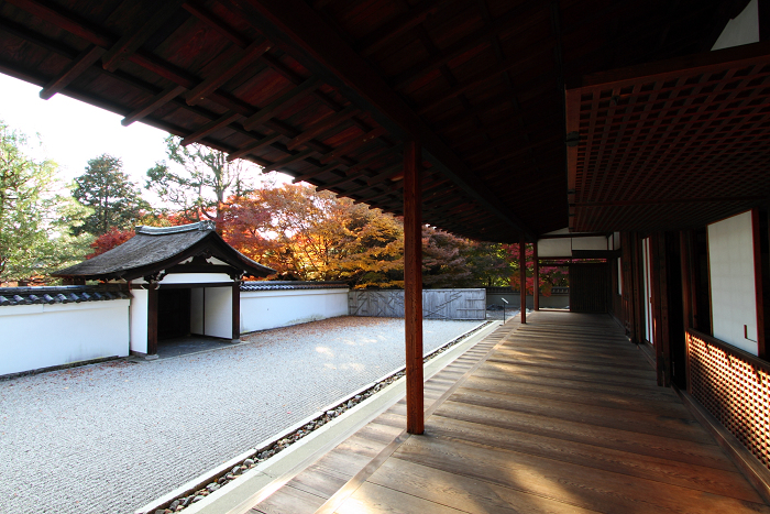 紅葉の東福寺 －龍吟庵－_b0169330_1716385.jpg