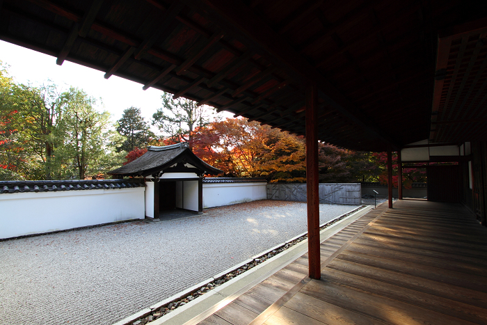 紅葉の東福寺 －龍吟庵－_b0169330_17164680.jpg